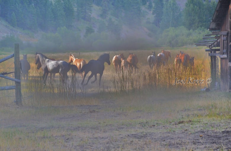 Image of Evening Dust