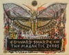 Edward Sharpe & The Magnetic Zeros Moth Poster