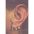 The Gold Ear Locking  Image 3