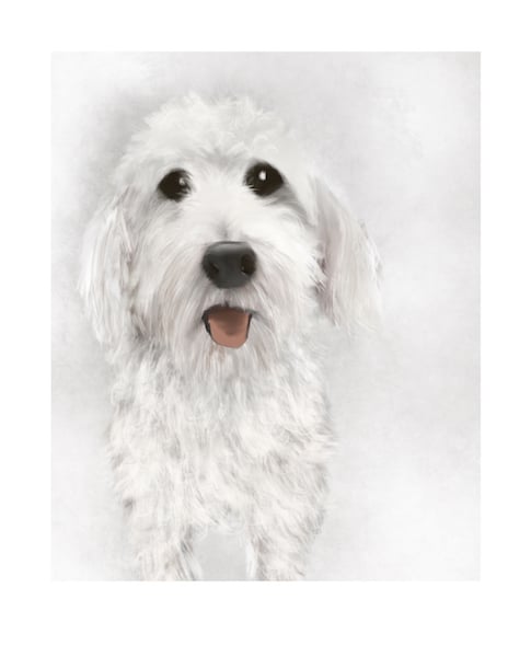 Image of Fine art print: Agreed