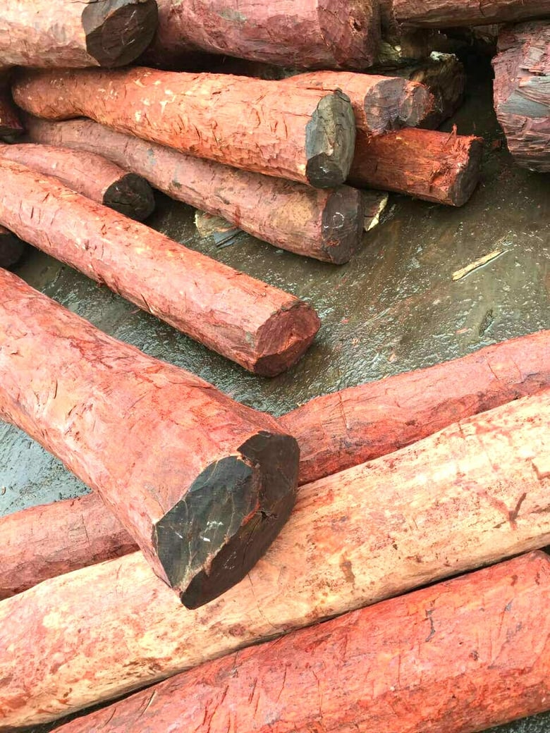 Image of African red wood timber