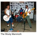 Image of The Wooly Mammoth and The Eggplants Skate Rock Band Sticker