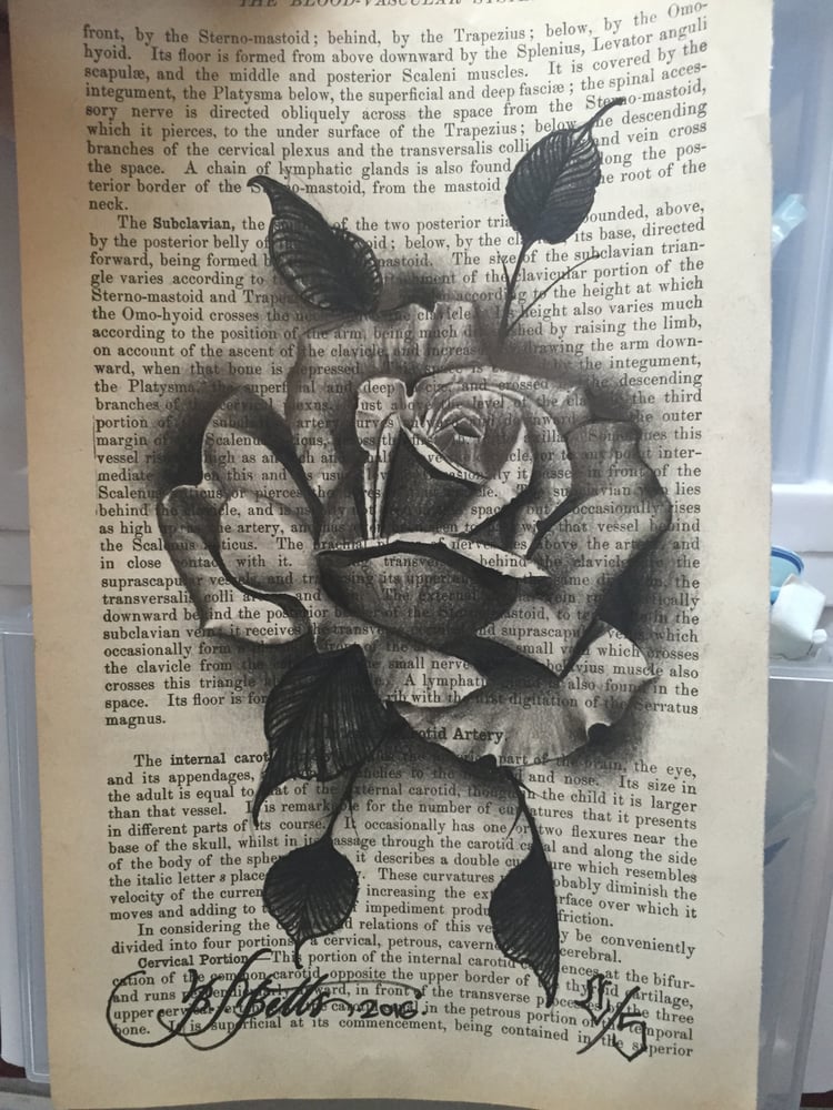 Image of Original rose artwork