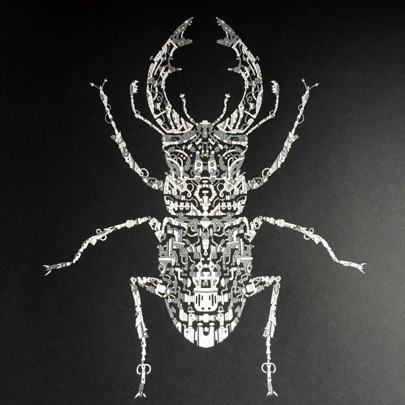 Image of Limited Edition Beetle Screenprint