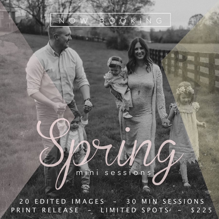Image of Spring Mini Sessions