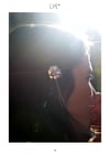 Collection 1920's - Headband coquelicot / Poppy Headband