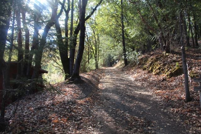 Image of Planetary Weather Update