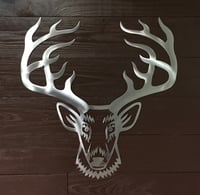 Image of 14 point buck