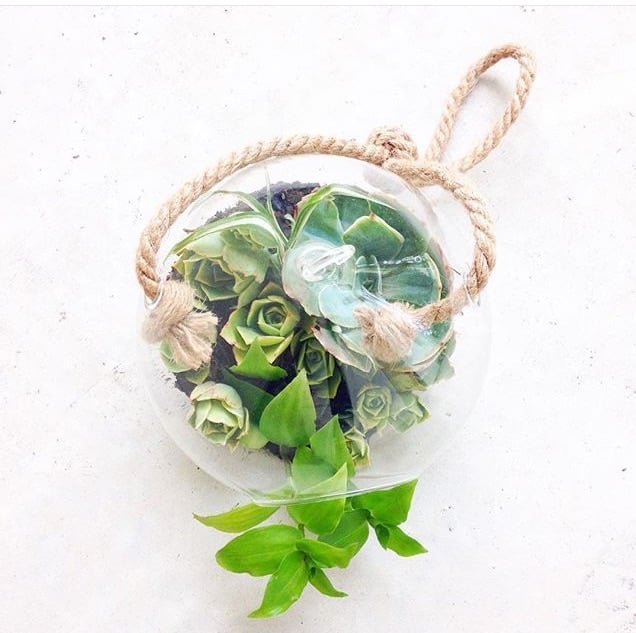 Image of B O U Y | Hanging Glass Bouy Terrarium