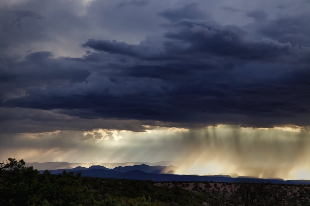Image of Desert Rain