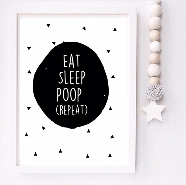 Image of Eat Sleep Poop (Repeat) print