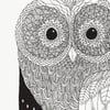 Print: Horned Owl