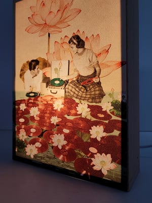 Image of Dj's botánicos.