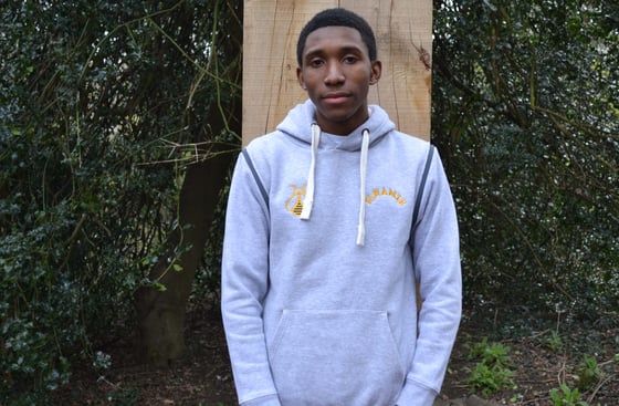 Image of Grey 'BEE'  Multistyle Hoody