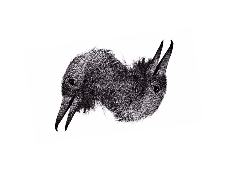 Image of Two faced crow