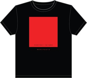 Image of Perfect Future shirt