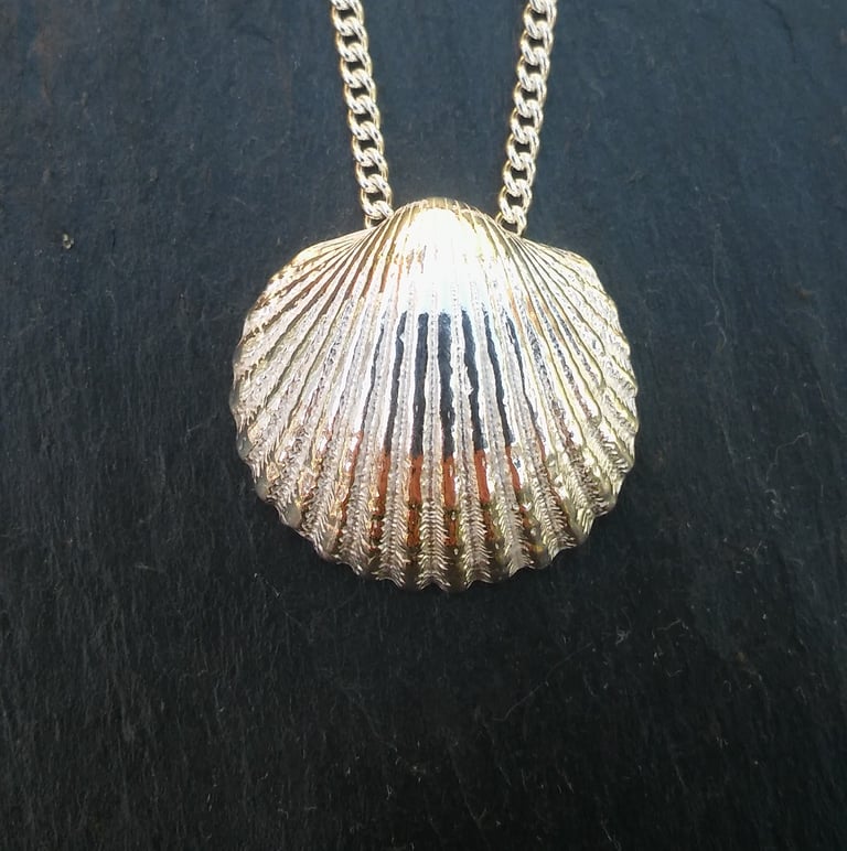 Cockle Shell Pendant Image 2