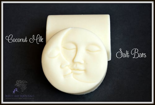 Image of Coconut Milk Salt Bars