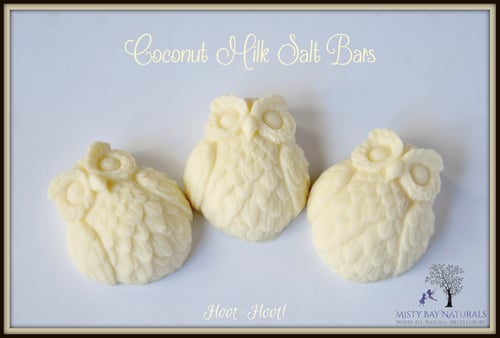 Image of Coconut Milk Salt Bars