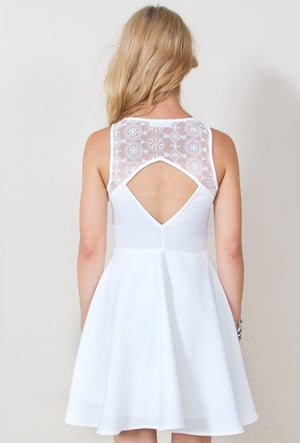 Image of White Swan Skater Dress