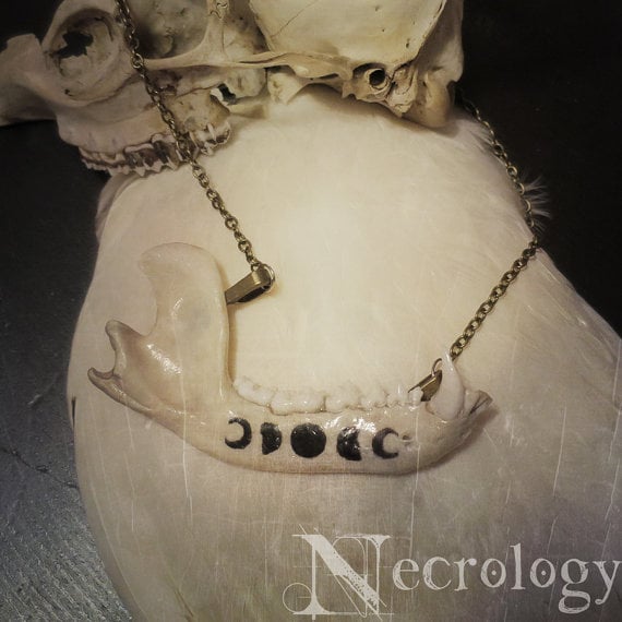 Image of Moon Phase Raccoon Jaw Necklace