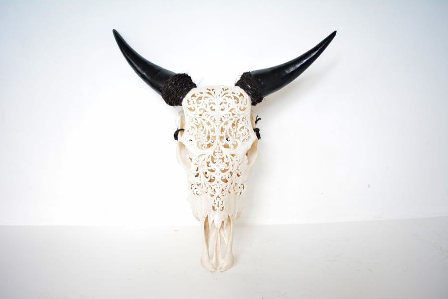 Image of Cow  Skull- Floral #2