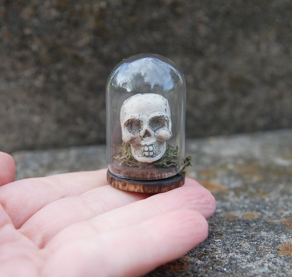 Image of SEAT OF KNOWLEDGE Miniature Human Skull Apothecary Specimen 