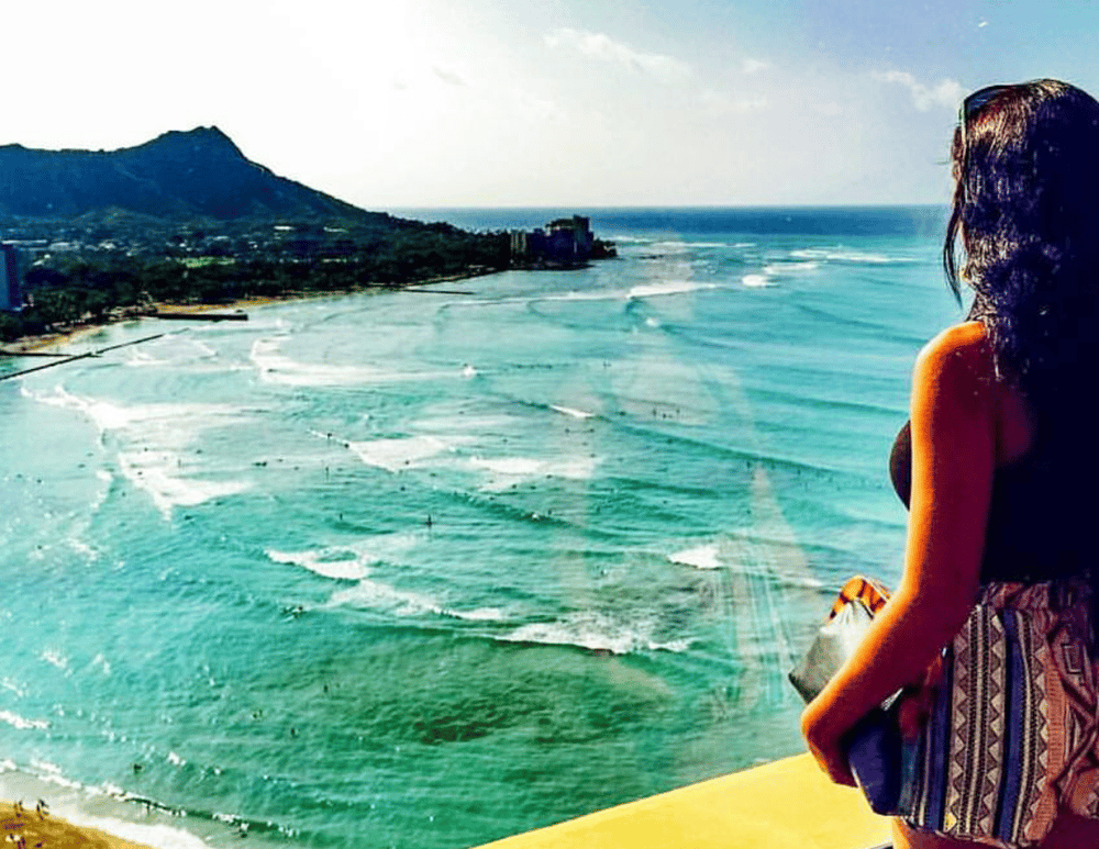 Image of Havana ~ tortoise