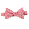 Cherry Gingham Bow Tie