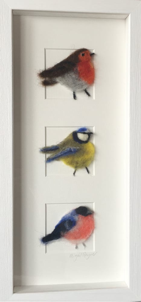 Image of "three in a Box British Birds"