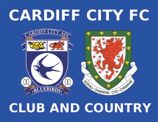 Image of Cardiff City - Club and Country