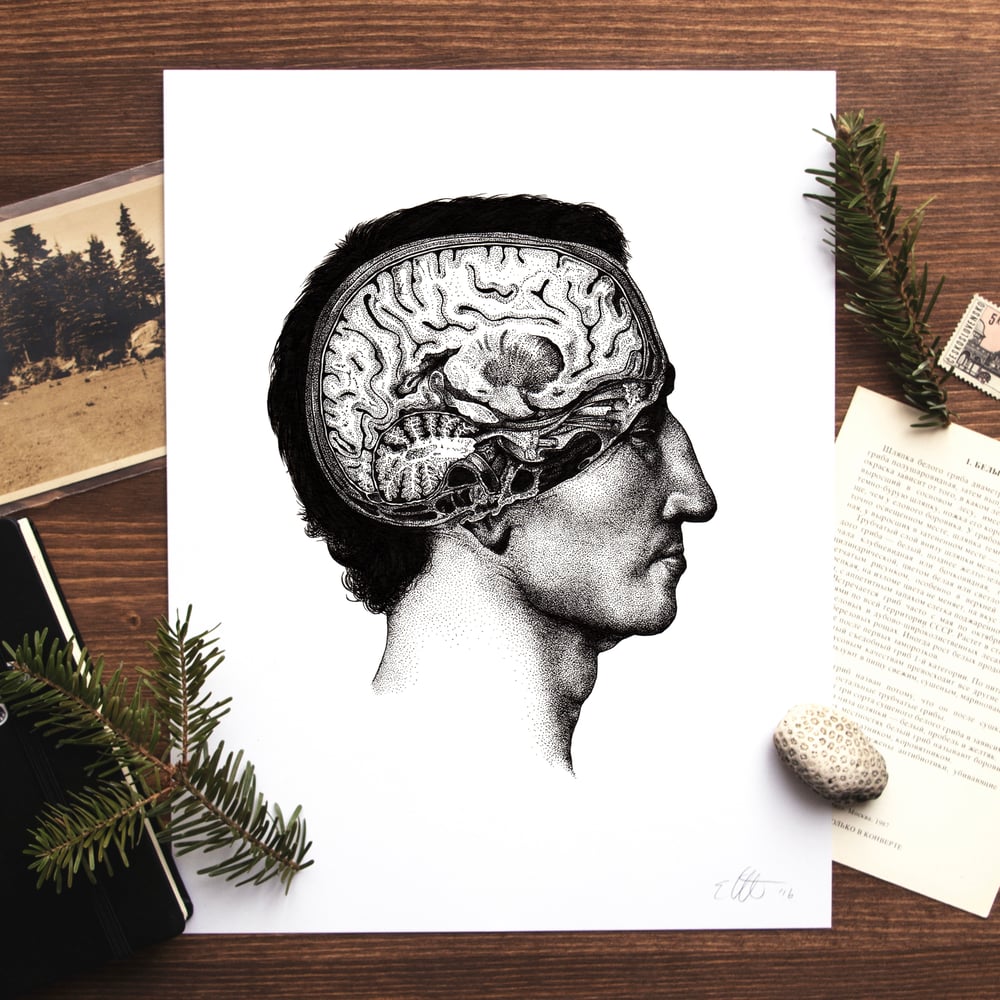 Image of Cerebrum Print