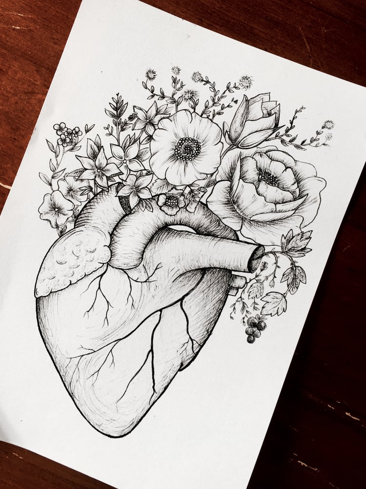 Image of Floral Anatomy Heart