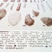 Image of Viking Tools etc - A3 Risograph Print