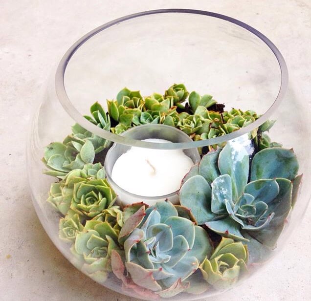 Image of DUSK | Scented Soy candle Terrarium