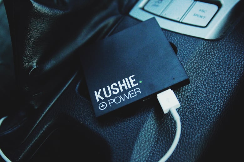 Image of KushiePower battery pack