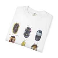 Image 6 of Isopods T-shirt WHITE 