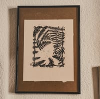 Image 2 of fern 