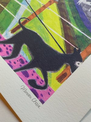 Marion Chaix / Avant que le soleil ne se couche