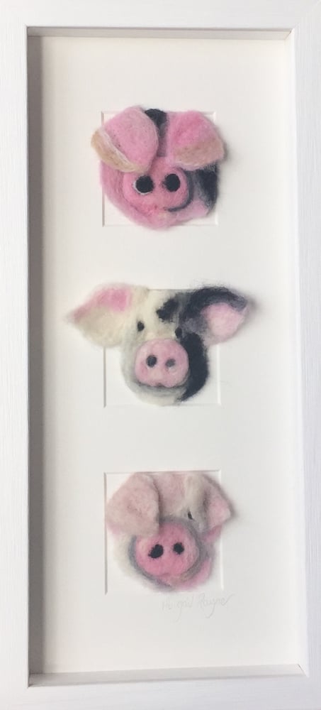 Image of "Three in a Box Pigs"