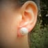 Cockle Shell Earrings Image 5