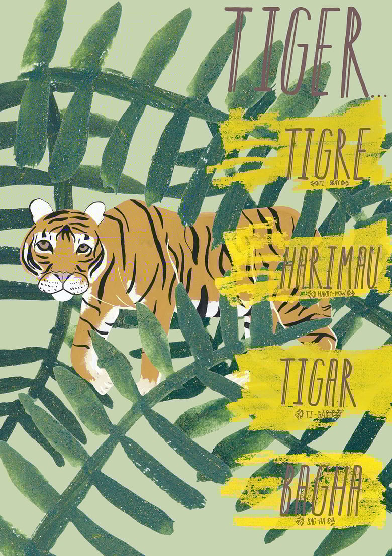 Image of Tigre