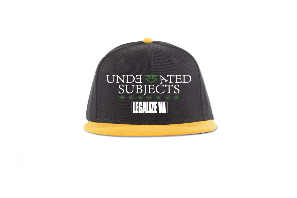 Image of Legalize VA Snapback