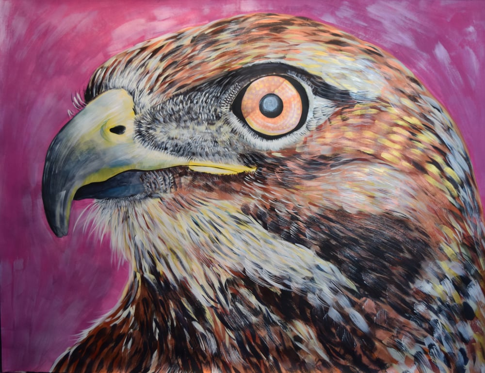 Image of Original Hawk painting by Natalie Wright Large scale Wildlife Art