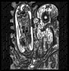 Silent Scream " Carrion Screaming" Gatefold LP ((LAST COPY))