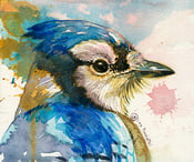 Image of The Bluejay 