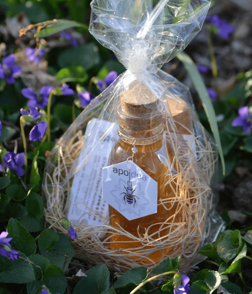 Image of seed  sampler  set