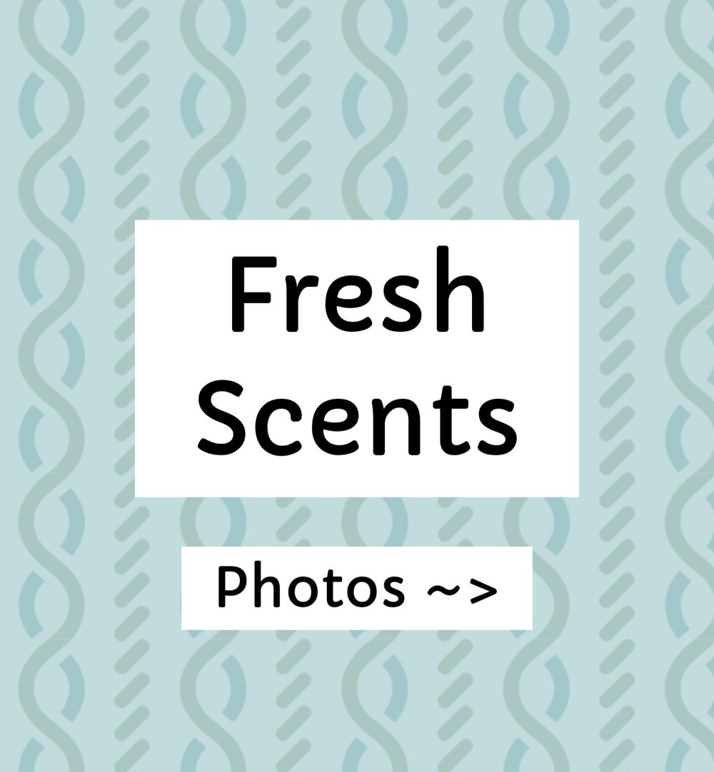 Image of Fresh Scents.