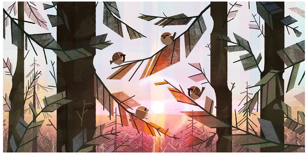 Image of Early Birds 11x22