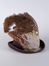 Brown Top Hat